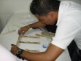 /album/documento-fotografico-clase-teorica-practica/sdc12713-jpg/